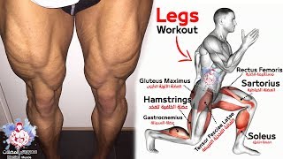 8 تمارين تضخيم الارجل في المنزل كمال الاجسام  - Leg Home Workout