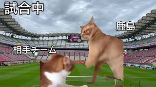 サッカーの試合に行った話② #猫ミーム #猫マニ