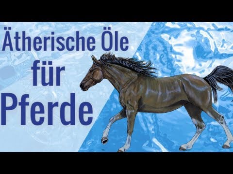 Ätherische Öle für Pferde