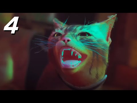 a cat saves the day... as usual.