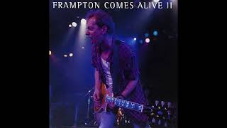 Peter Frampton - Hang On To A Dream (5.1 Surround Sound)