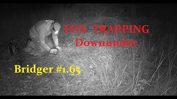 Fox Trapping Down Under - Australia