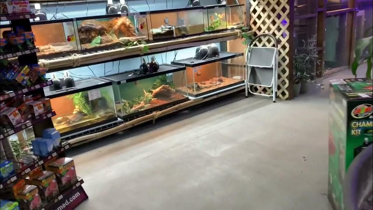 Floating Sea Aquatics YouTube