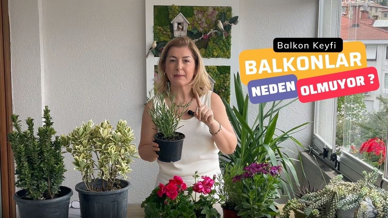 Balkonlar Neden Olmuyor?