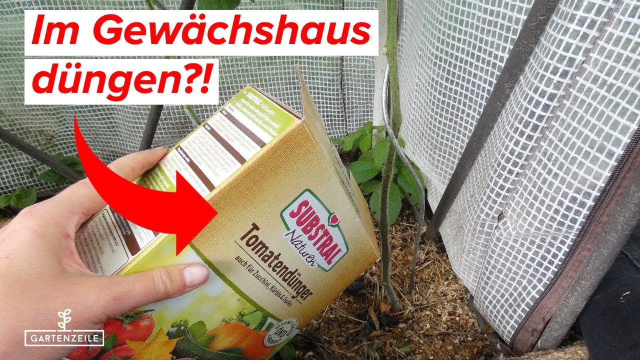 Wann im Gewchshaus dngen? - Ideale Zeiten fr die regelmige Dngung!