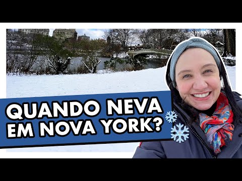 Vídeo: O que fazer em Nova York em dias frios e com neve