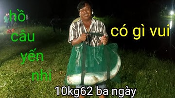 Câu cá giải hồ yến nhi. ngày lên nhìu cá lớn