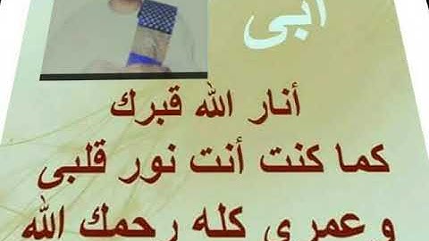 فضيلة القارئ الشيخ محمد عبد المعطي