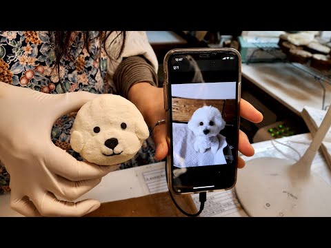 “강아지가 환장해서 먹는 애견 케이크~” 강아지 케이크,쿠키,머핀 The process of makig dog eating cake, korean street food