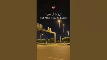 ما اسم القارئ ؟