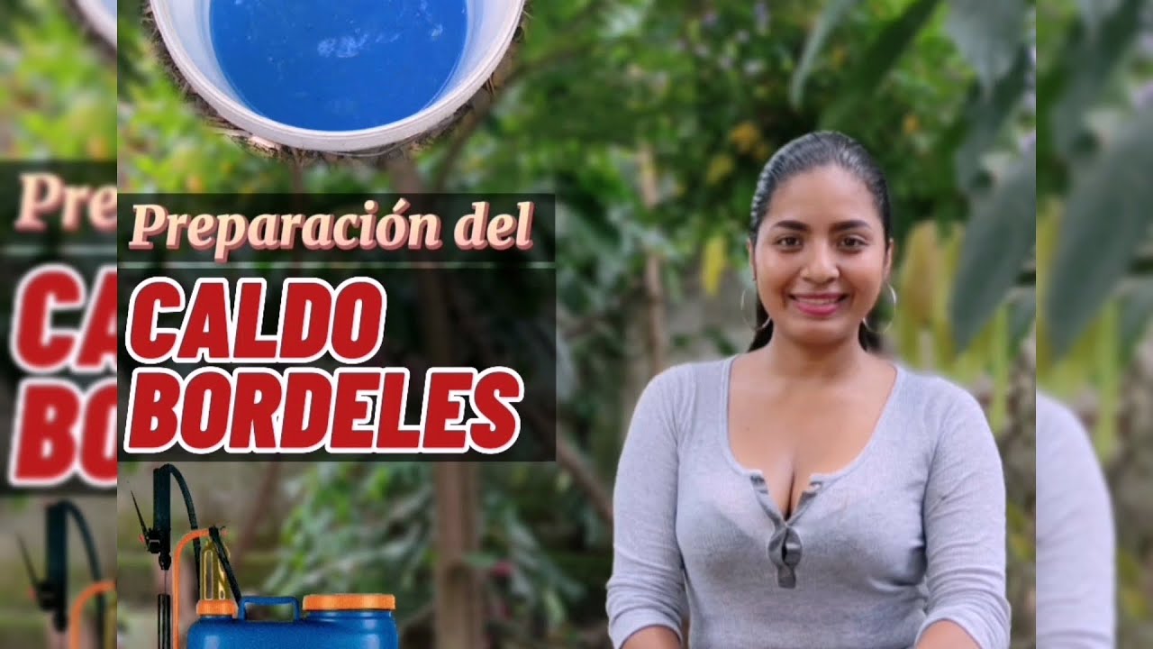 Aprende a preparar el caldo bordelés y protege tus plantas.