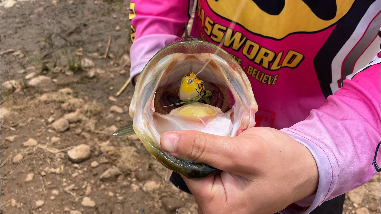 Frog fishing at Buffelspoort