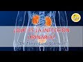 ¿QUÉ ES LA INFECCIÓN URINARIA? / Dr. Elmer Luna Vilchez