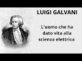 LUIGI GALVANI - PERSONAGGI ITALIANI (204)