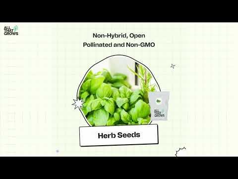 Get everything you need to start a kitchen garden, delivered to your door from AllThatGrows. - video from AllThatGrows