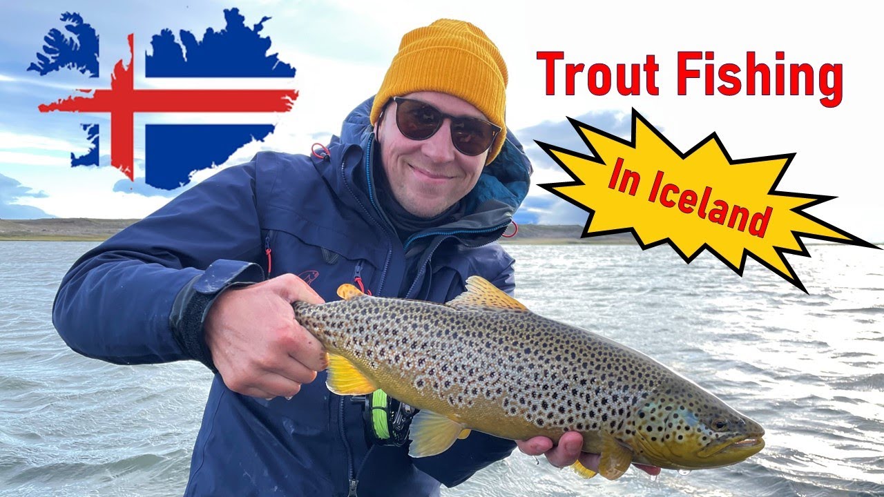 Trout Fishing in Iceland 2022 YouTube