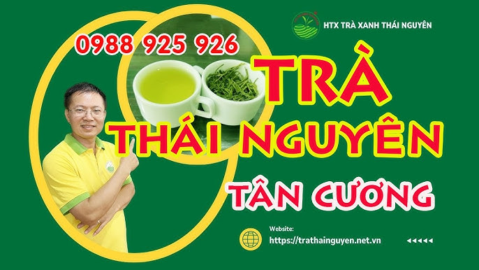 Top 10 Đặc Điểm Trà Xanh Tân Cương Thái Nguyên Chính Gốc 2024