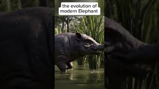 The Evolution of the Modern Elephant | From Tiny Ancestors to Giants of Today 🐘