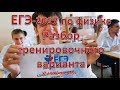 ЕГЭ-2017 по физике. Разбор тренировочного варианта #3 (продолжение)