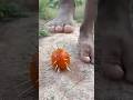 👣😿🙀Survival Skills: SMART idea andUSEFULwithtoothpaste #bushcraft #camping#outdoors
