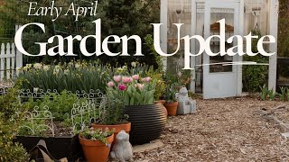 April Begins with Rain, Blooms… and So Many Weeds! | Garden Walkthrough