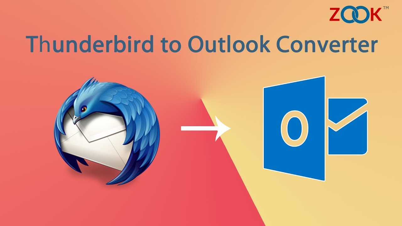 ⁣How to Transfer Thunderbird to Outlook?