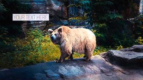 After Effects Project Files - Minimal Slideshow - VideoHive 8625542