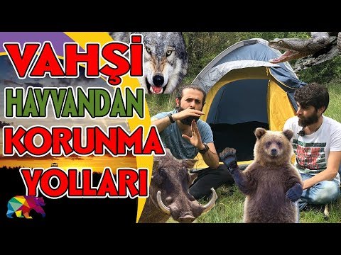 Video: Halk Ilaçları Da Dahil Olmak üzere Doğada, Ormanda, ülkede Kenelerden Kendinizi Nasıl Korursunuz?