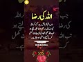 Right #quotes #bestquotes #poetry #best #goldenwords #islamicknowledge #viralvideo #pak #pakistan