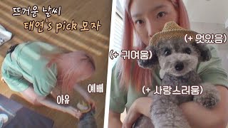 ENG l 귀여워..❤️ 뜨거운 날씨 제로를 지켜줄 모자 패션(,,＞᎑＜,,) 펫키지(petkage) 1회