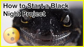 Black Night Project Q&A