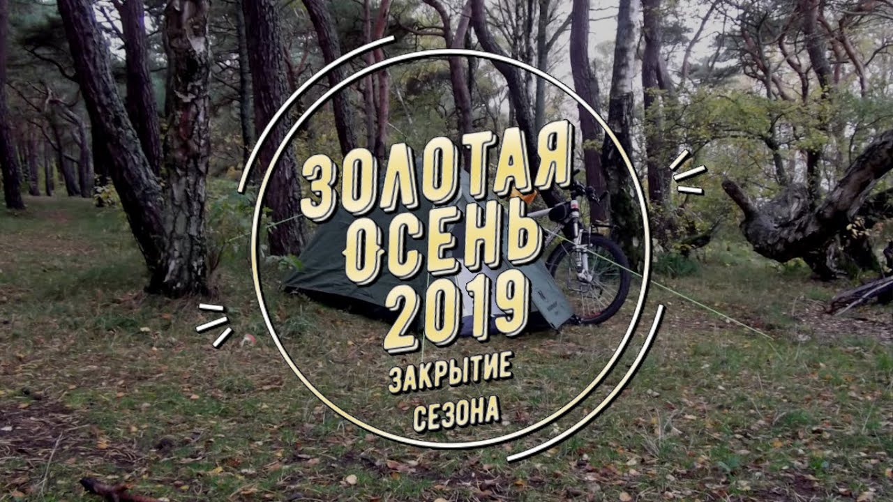 Вестов осень в золоте
