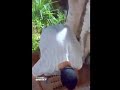 الفيديو ده عمره ما فشل انه يضحكني