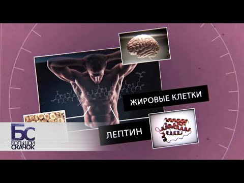 Большой скачок. Гормоны. На страже красоты