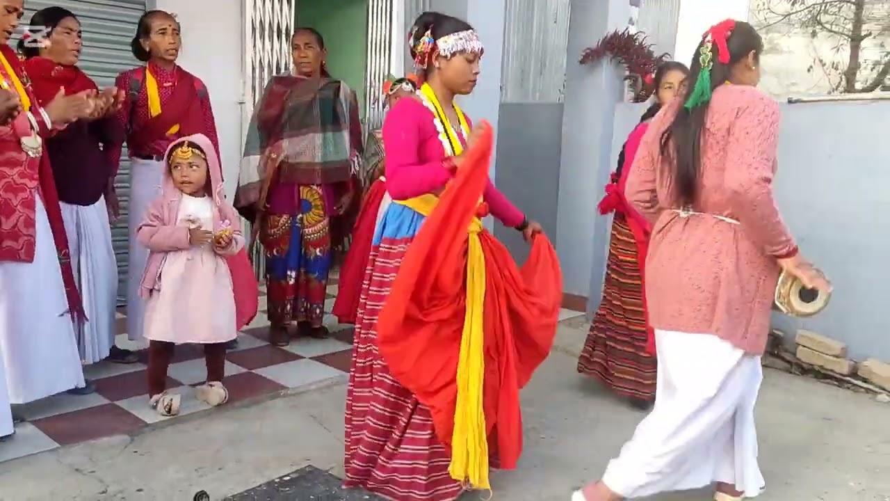 माघी उत्सव,नृत्यमा खुशी साट्दै थारु समुदाय