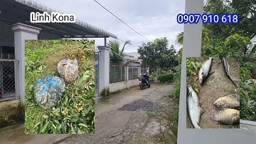 Bán lô đất 2.5 công giá bán 6 tỷ gần cầu Xà No Cạn, xã Nhơn Nghĩa, Phong Điền, Cần Thơ - Linh Kona