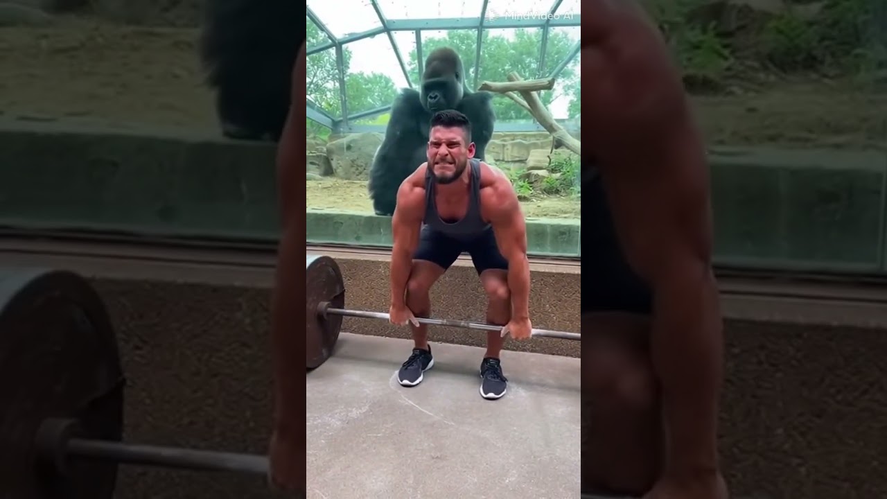 He Pulls the Gorilla and Tries the Weights… The Gorilla Has a Different Plan 😳🦍