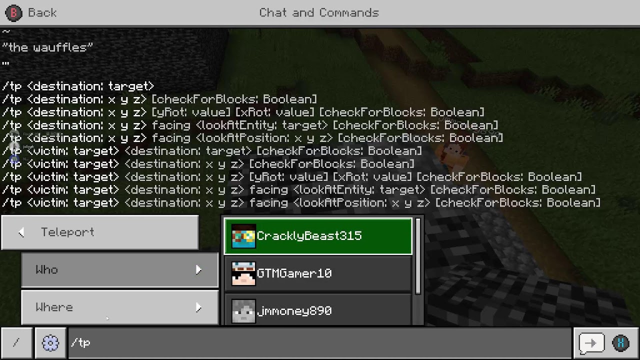 MINECRAFT BEDWARS!