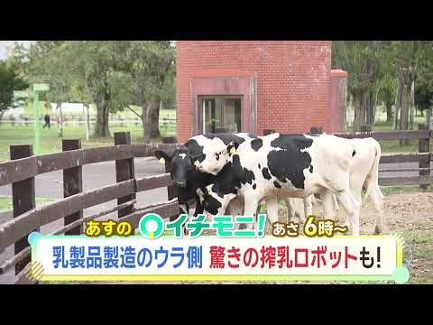 【HTB公式】10月13日(火)イチモニ！番宣