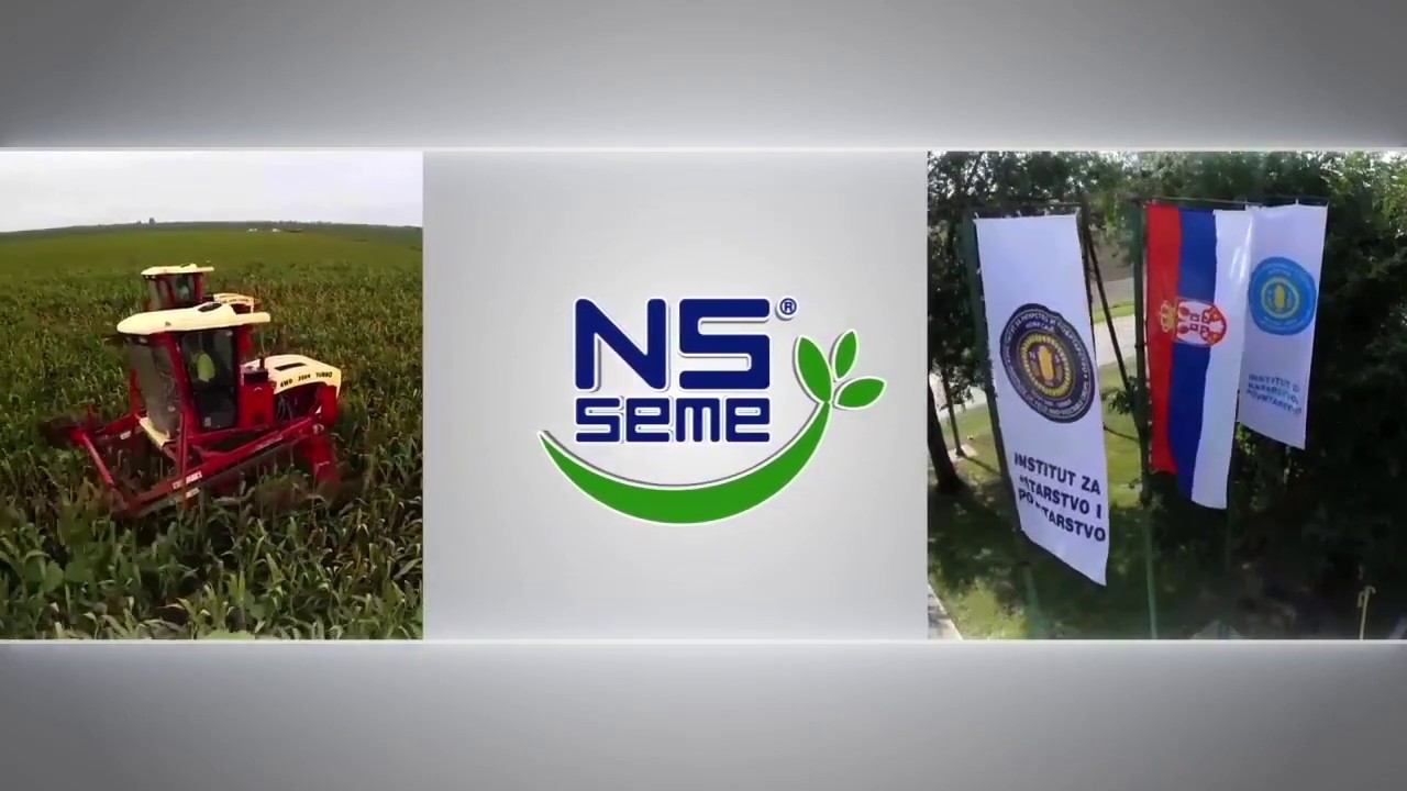 NS SEME DR MIROSLAV MALEŠEVIĆ