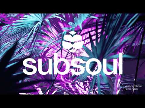 b.s. circus remix bootleg subsoul