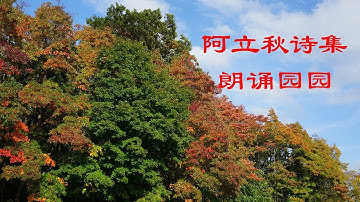 Me reading 阿立 poems 树隧道等3首  My autumn photos, perfect match!