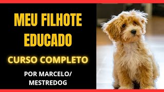 Meu filhote educado curso online completo de adestramento