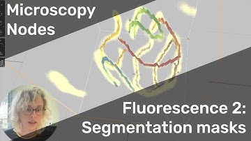 Segmentations and annotations in Blender: fluorescence