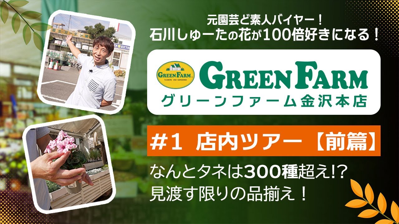 元園芸ド素人バイヤー・石川しゅーたが案内！花が100倍好きになる！グリーンファーム金沢本店ツアー【前編】