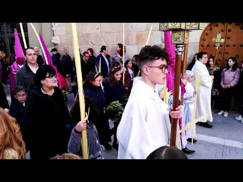 Procesión de la Real Cofradía de Jesús en su Entrada Triunfal en Jerusalén