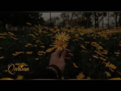 Qurban OST Slowed And Reverb LoFi Bass Boosted