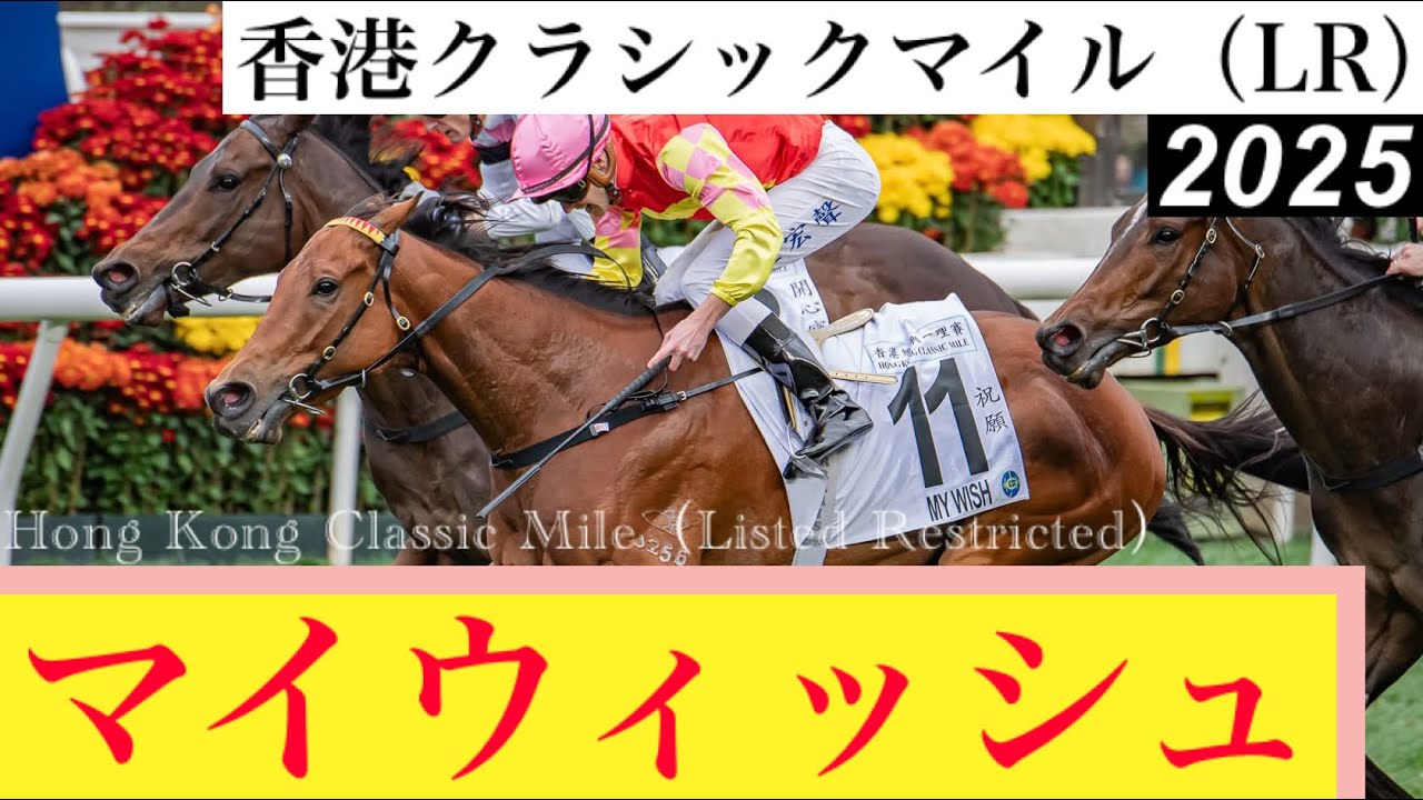 香港国際競走 香港ジョッキークラブ LONGINES ジャケット M The