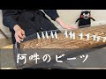 【箏koto】阿吽のビーツ/羽生まゐご 弾いてみた【Manon】