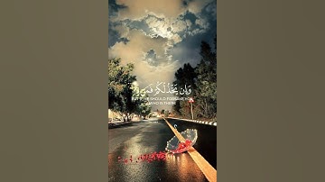 إن ينصركم الله فلا غالب لكم وإن يخذلكم فمن ذا الذي ينصركم . [ آل عمران: 160] القارئ #ماهر_المعيقلي